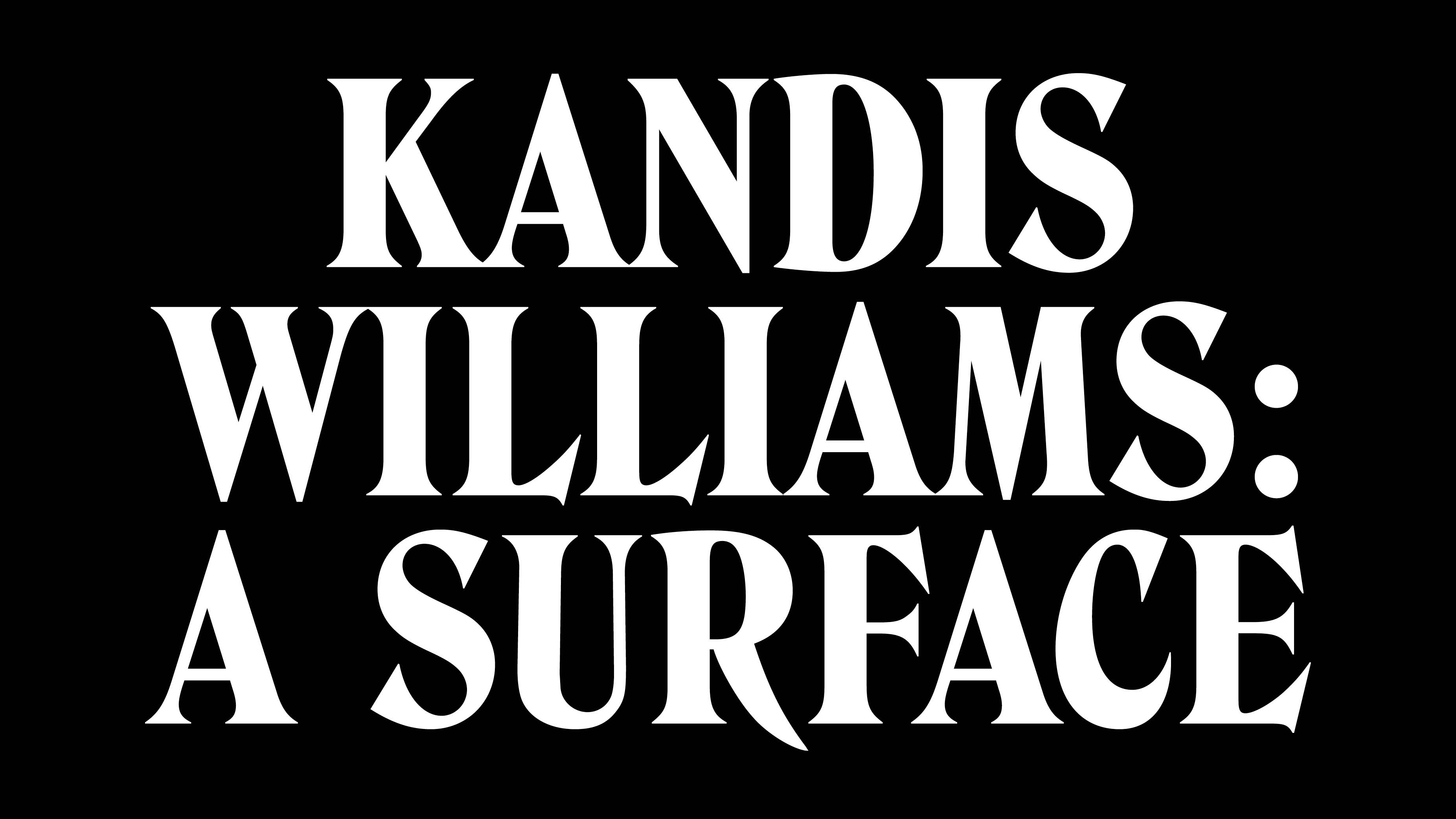 Kandis Williams: A Surface, image 1