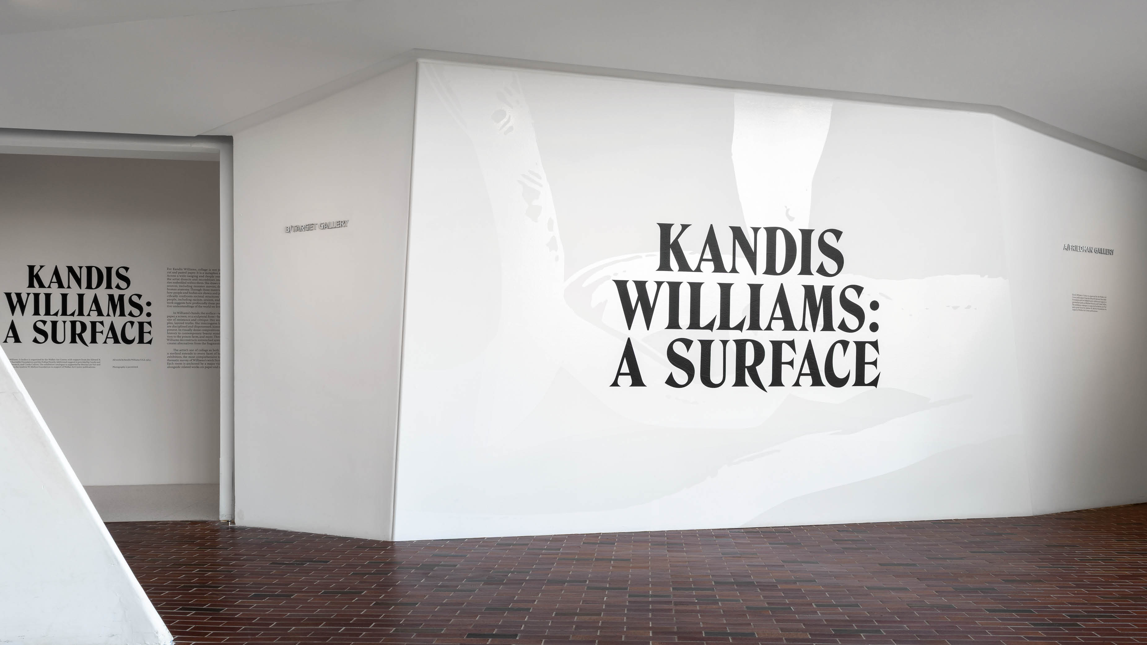 Kandis Williams: A Surface, image 11
