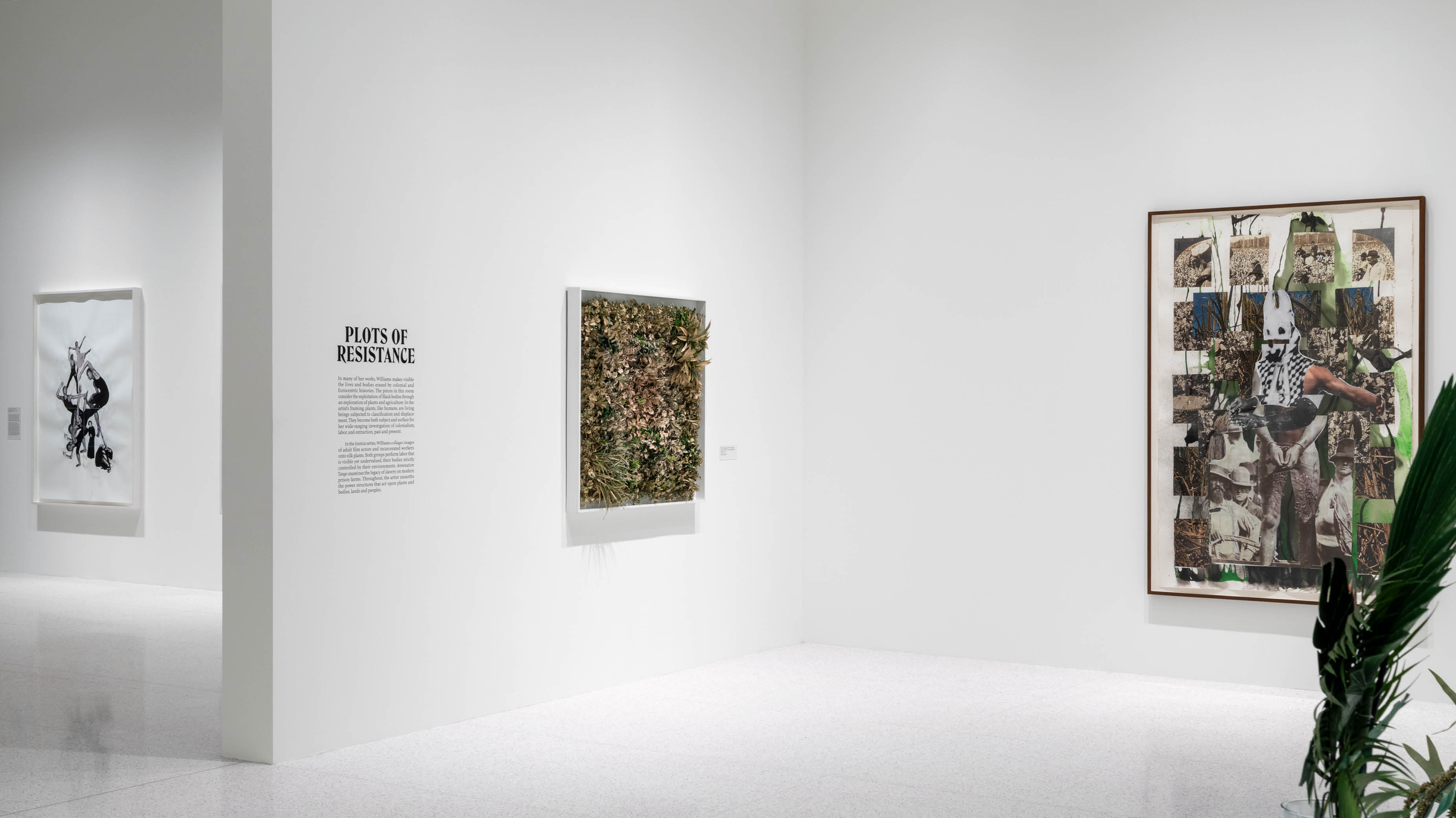 Kandis Williams: A Surface, image 12