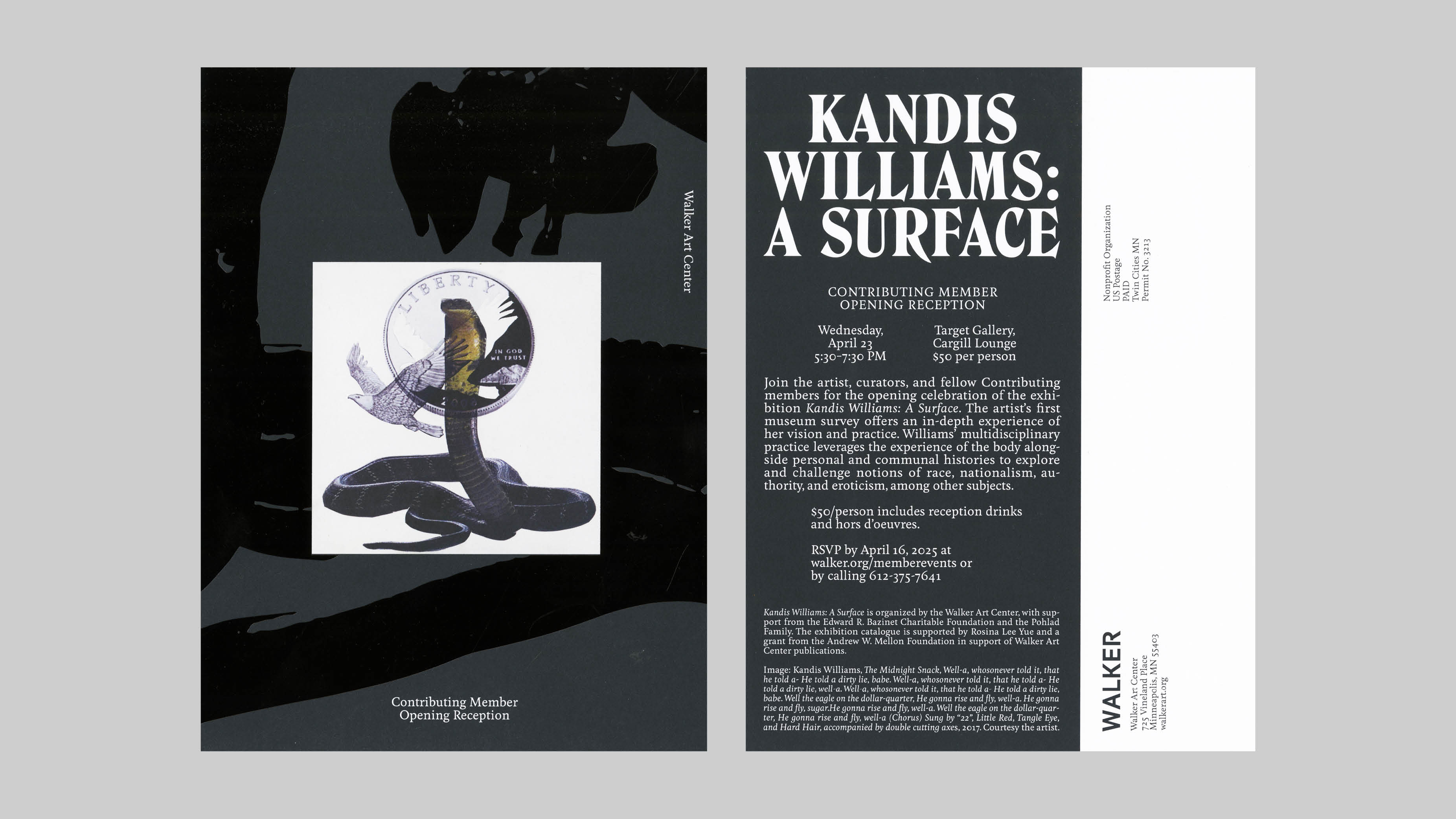 Kandis Williams: A Surface exhibition and catalog